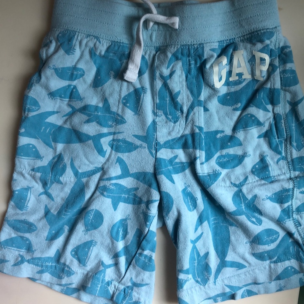 Shark Shorts